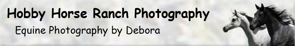 Hobby Horse Ranch Photography banner